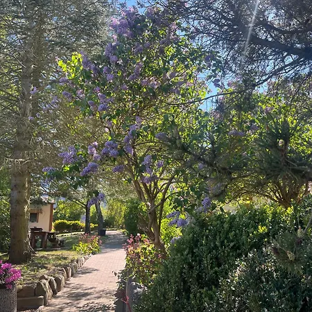 Apartament Park